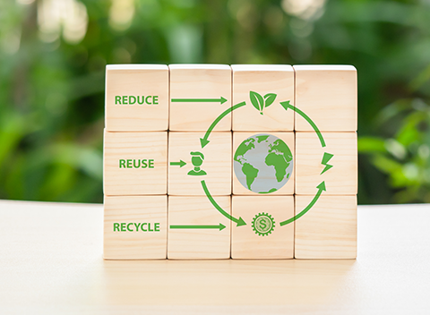 Embracing Sustainable Development Practices ­­as part of the OR Tambo SEZ